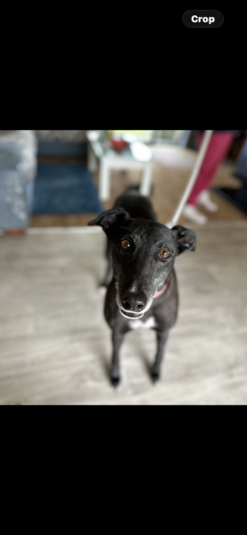 Maggie